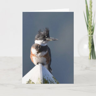 Kingfisher - Kunstausweis Karte
