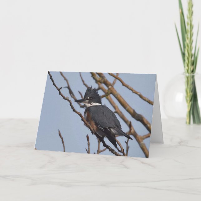 Kingfisher - Kunstausweis Karte (Vorderseite)