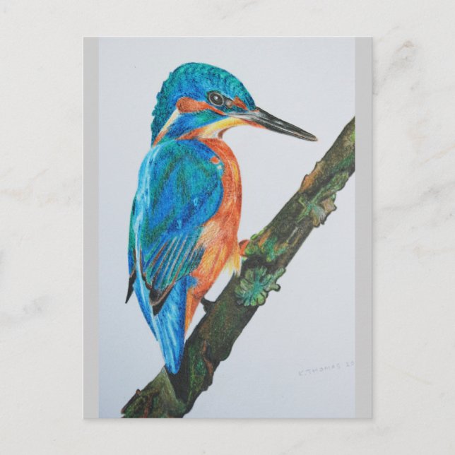 Kingfisher Merchandise Postkarte (Vorderseite)