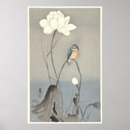 Kingfisher mit Lotus-Blume - Archival Print Poster