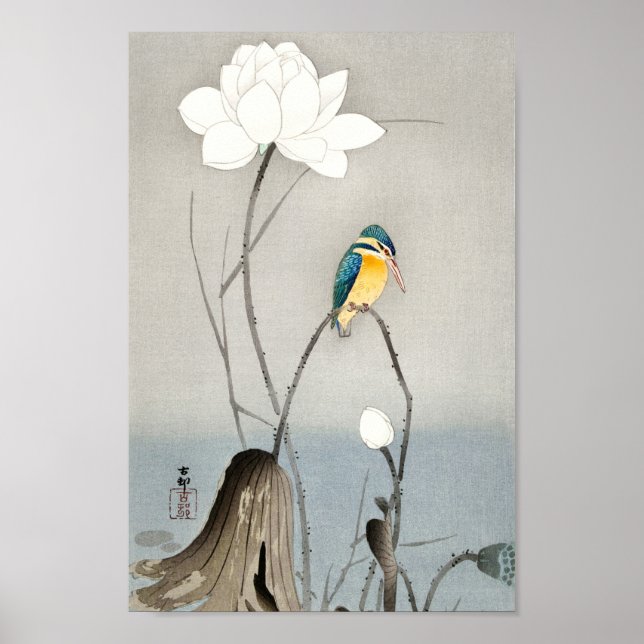 Kingfisher mit Lotus Blume - Ohara Koson - 12 Poster (Vorne)
