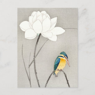 Kingfisher mit Lotus Blume Ohara Koson vergrößert Postkarte