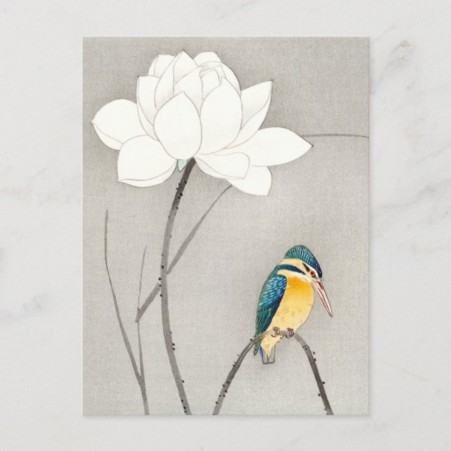 Kingfisher mit Lotus Blume Ohara Koson vergrößert Postkarte (Vorderseite)