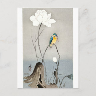 Kingfisher mit Lotus Blume - Ohara Koson - weiß Postkarte