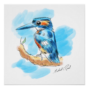 Kingfisher Poster