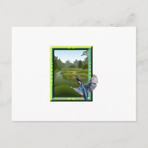 Kingfisher Postkarte