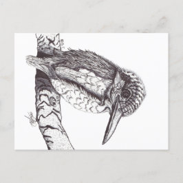 KINGFISHER POSTKARTE