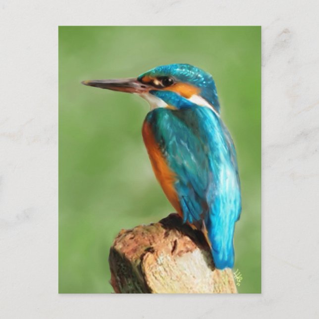 Kingfisher Postkarte (Vorderseite)