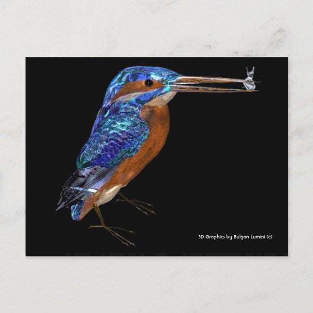 KINGFISHER POSTKARTE (Vorderseite)