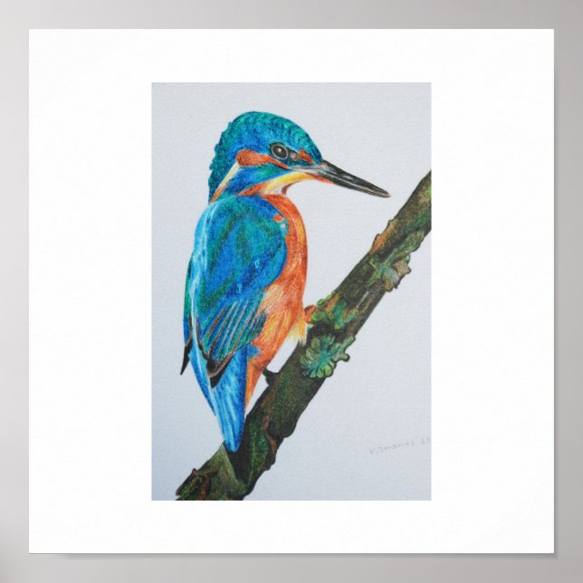 Kingfisher Print - wählen Sie Ihr Papier und Rahme Poster (Vorne)