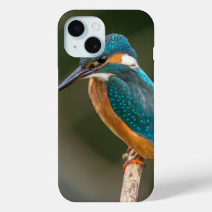 Kingfisher Profile Foto Case-Mate iPhone Hülle