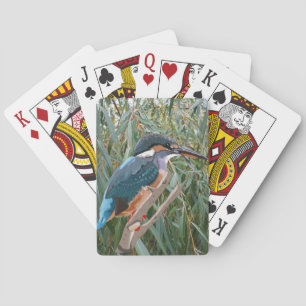 Kingfisher und Willow Spielkarten