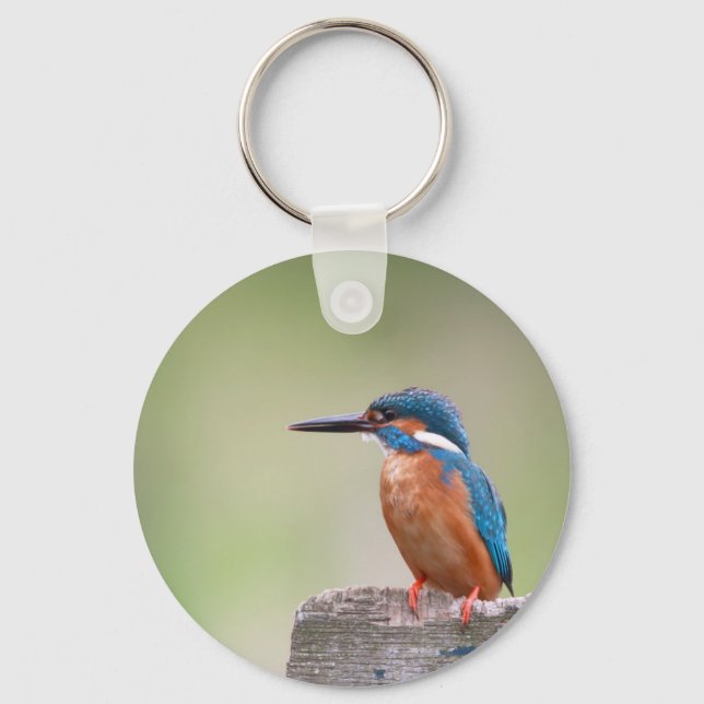 Kingfisher-Vogel. Schlüsselanhänger (Vorderseite)