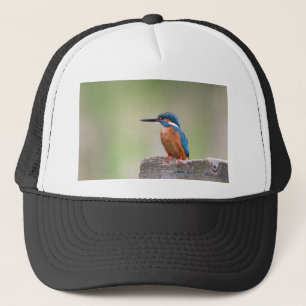 Kingfisher-Vogel. Truckerkappe