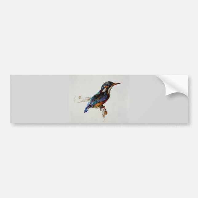 Kingfisher (von John Ruskin) Autoaufkleber (Vorne)