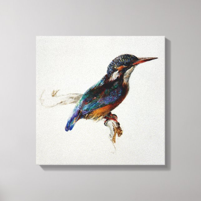 Kingfisher (von John Ruskin) Leinwanddruck (Vorderseite)