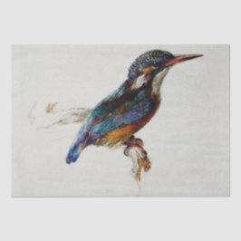 Kingfisher (von John Ruskin) Seidenpapier