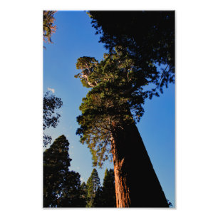 Kings Canyon National Park Fotodruck