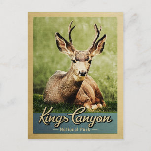 Kings Canyon Nationalpark Deer Vintag Postkarte