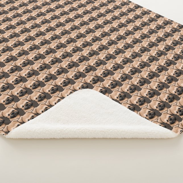 KiniArt Brussels Griffon Sherpadecke (3/4)