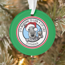 KiniArt Cesky Terrier Weihnachten Ornament