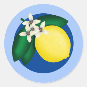 KiniArt Lemon Runder Aufkleber
