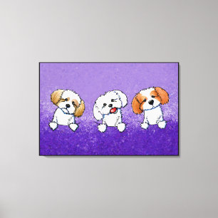 KiniArt Shih Tzu Trio Leinwanddruck