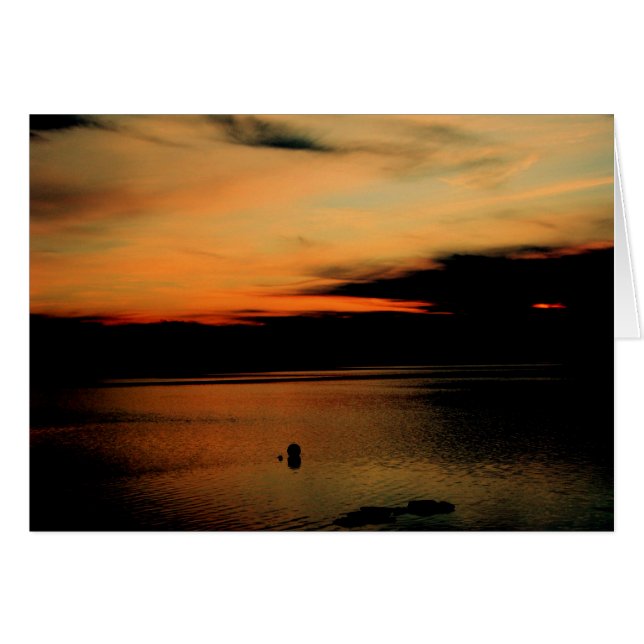 Kinney Shows in der Abenddämmerung (Vorderseite (Horizontal))