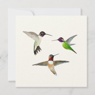 Kinnige, Rufous und Anna's Hummingbirds Dankeskarte