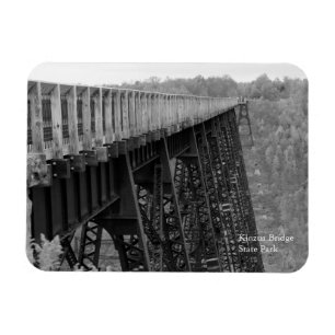 Kinzua Bridge Skywalk B&W Herbst Souvenir Kühlschr Magnet