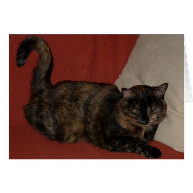 Kira 01 (Vorderseite (Horizontal))
