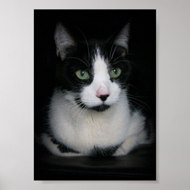 Kirby Poster (Vorne)