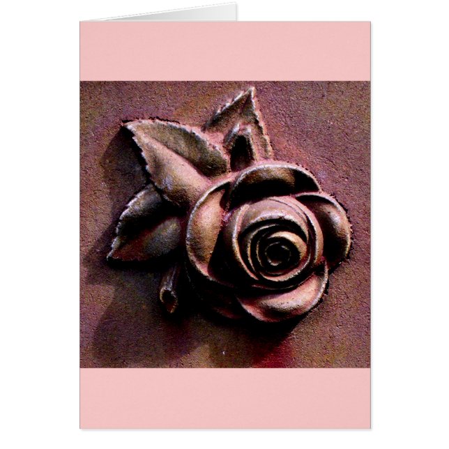 Kirchhof-Rose (Vorne)