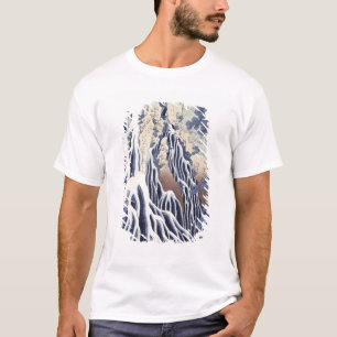 Kirifuri Fall auf Kurokami Berg T-Shirt