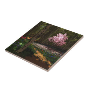 Kirschbaum Concerto Fliese