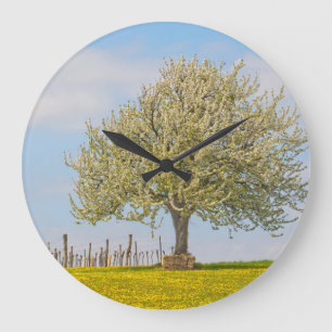 Kirschbaum im Frühling Große Wanduhr