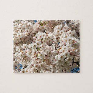 Kirschbaum in Bloom, Oregon Puzzle