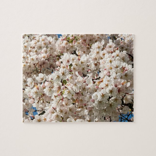 Kirschbaum in Bloom, Oregon Puzzle (Horizontal)