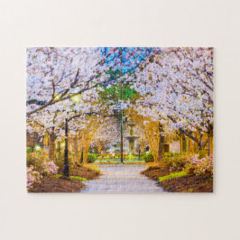 Kirschbaum puzzle