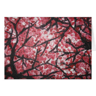 Kirschblüte