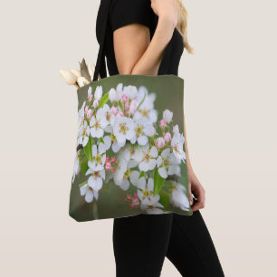 Kirschblüte