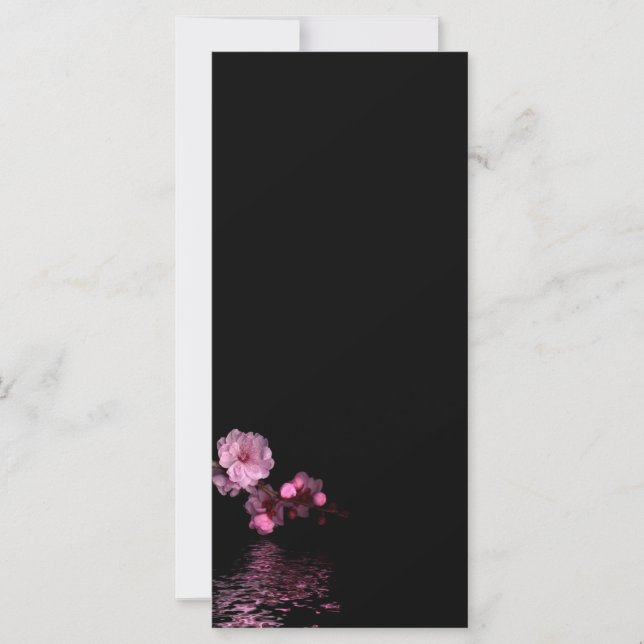 Kirschblüte (Vorderseite)