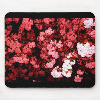 Kirschblüte allabendlich mousepad