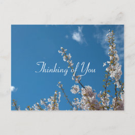 Kirschblüte am blauen Himmel, denken Sie an Sie Postkarte