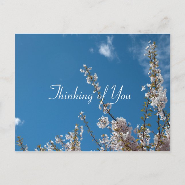 Kirschblüte am blauen Himmel, denken Sie an Sie Postkarte (Vorderseite)