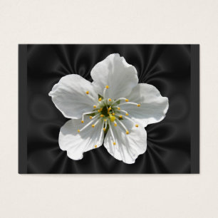 Kirschblüte ~ ATC