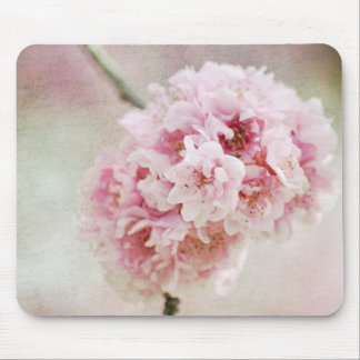 Kirschblüte botanisch mousepad