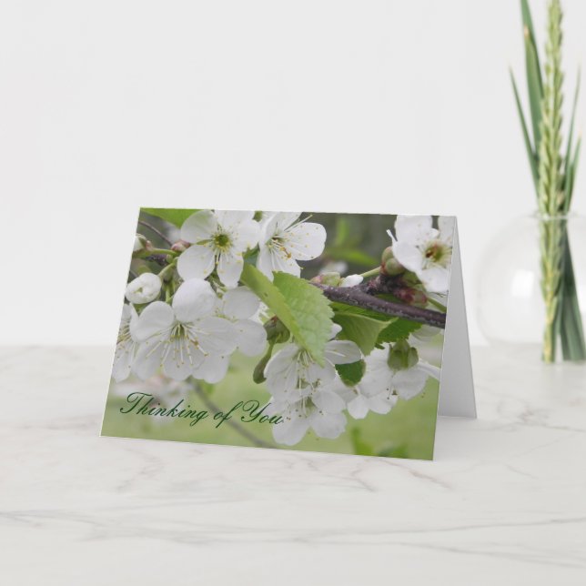 Kirschblüte, Denken Sie an Sie Karte (Vorderseite)