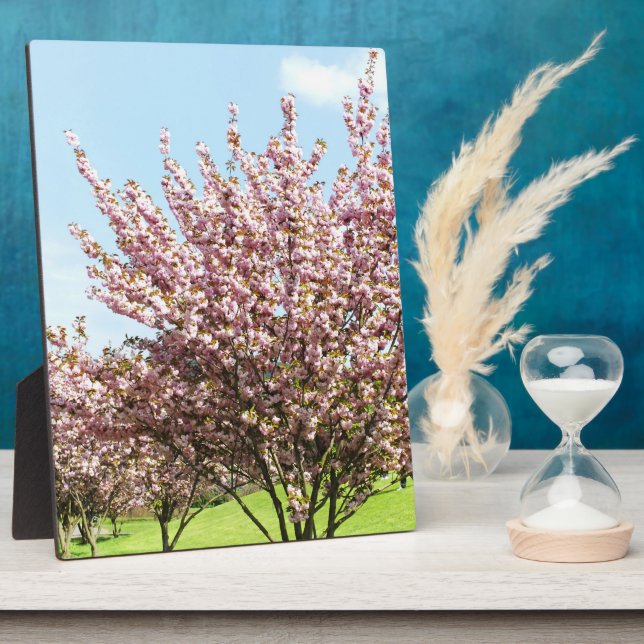 Kirschblüte Fotoplatte (Seite)
