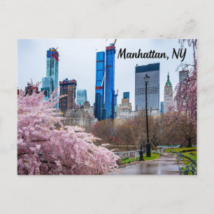 Kirschblüte im Frühling in Manhattan, NY  Postkarte